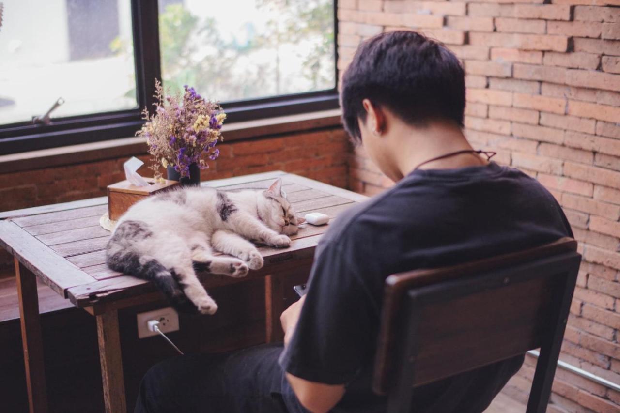 Suneta Hostel Chiangmai Chiang Mai Luaran gambar